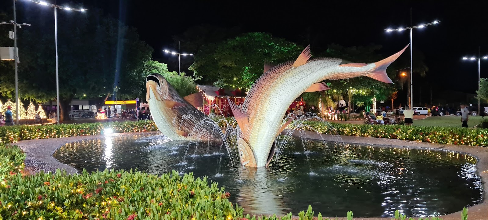 Bonito, MS: Roteiro Completo para Sua Excursão Inesquecível!