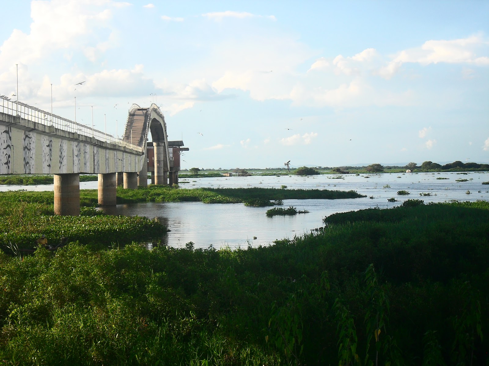 Corumbá: A Capital do Pantanal Acessível por Excursões Rodoviárias