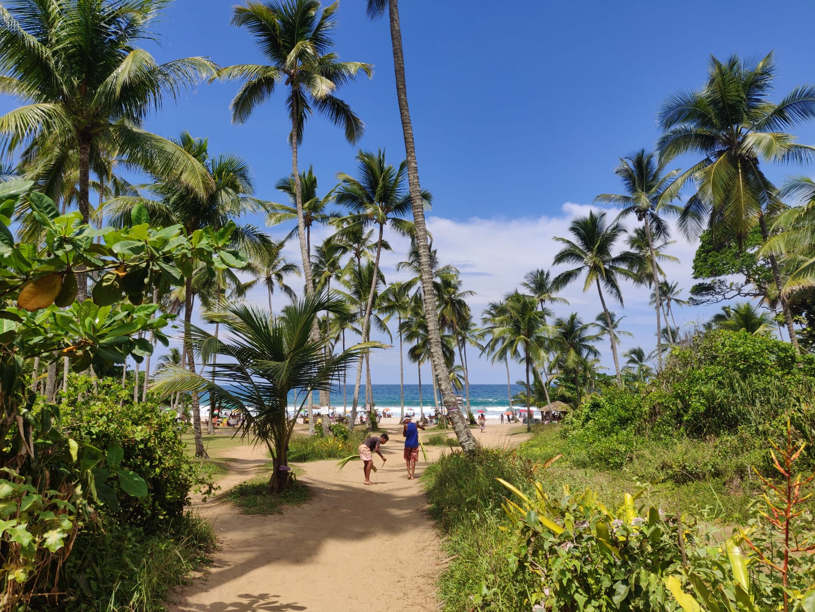 Itacaré: Roteiro Completo para Sua Excursão Inesquecível!
