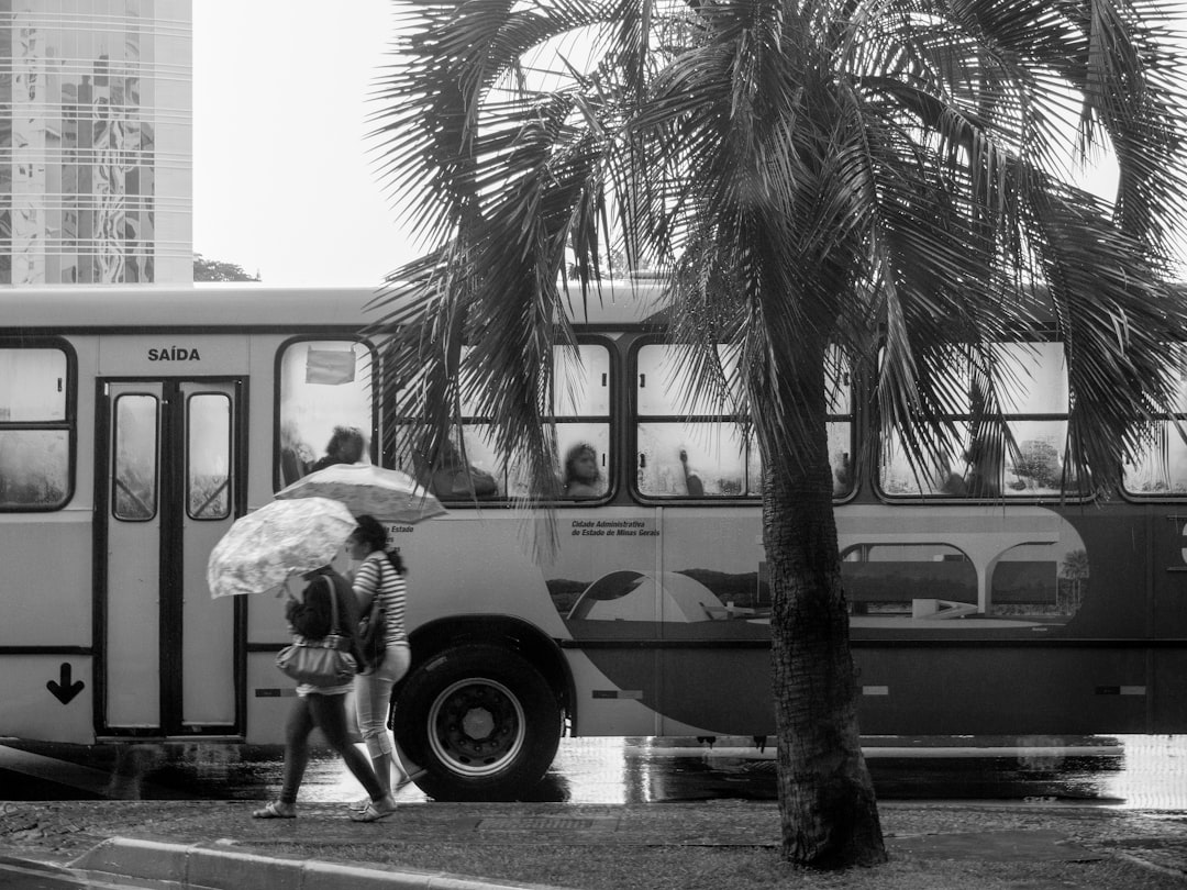 Maximizando Lucros: Guia Completo para Excursões Rodoviárias