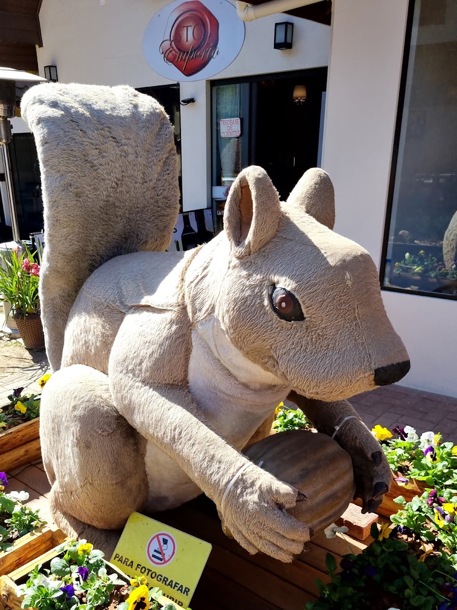 Monte Verde: Roteiro Completo para Excursões na Serra!